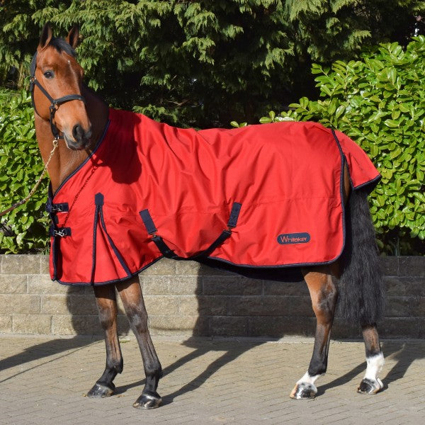 Whitaker Rastrick Turnout Rug 0g