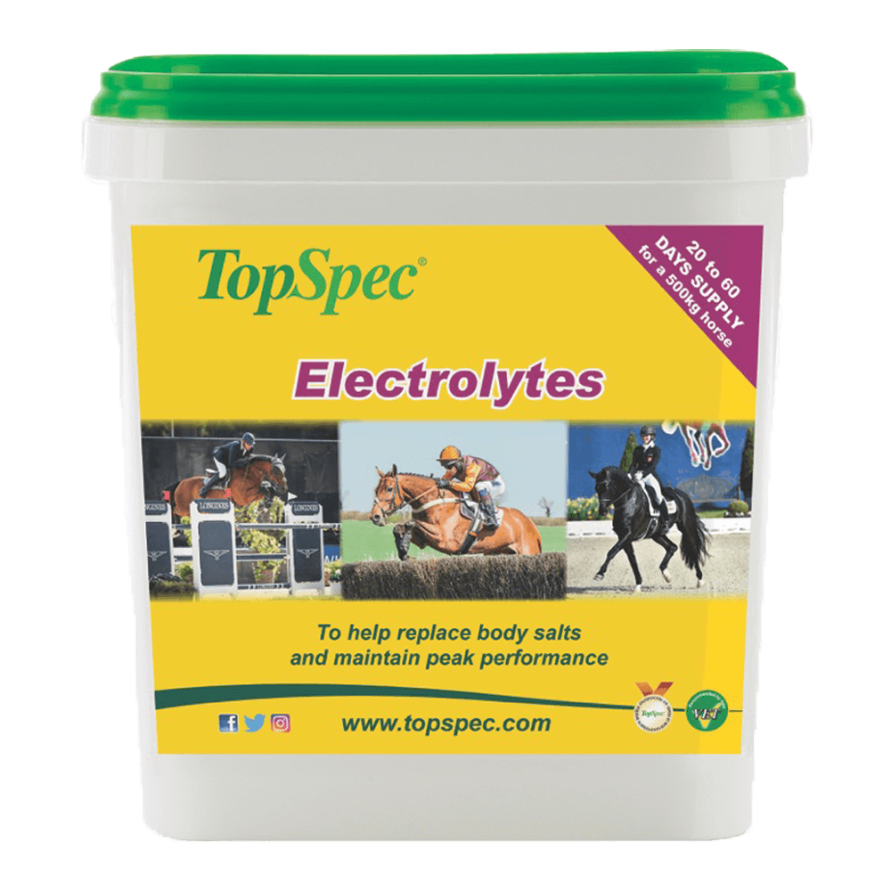 TOPSPEC ELECTROLYTES-3KG