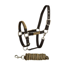 Load image into Gallery viewer, BITZ SOFT HANDLE /STRIPE TWO TONE HEADCOLLAR/LEAD ROPE SET
