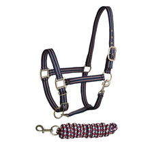 Load image into Gallery viewer, BITZ SOFT HANDLE /STRIPE TWO TONE HEADCOLLAR/LEAD ROPE SET
