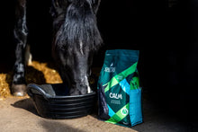 Load image into Gallery viewer, SPILLERS Calm
