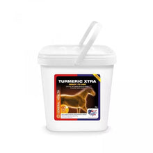 Load image into Gallery viewer, EQUINE AMERICA TURMERIC XTRA
