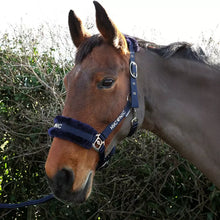 Load image into Gallery viewer, HYCONIC Faux Fur Head Collar &amp; Lead Rope
