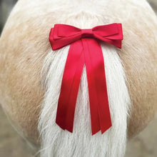 Load image into Gallery viewer, Equetech Warning Tail Ribbon - Green, Red.
