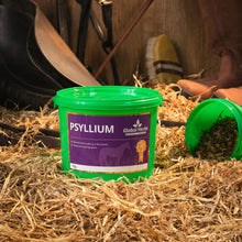 Load image into Gallery viewer, Psyllium 1kg - Global Herbs
