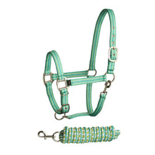 Load image into Gallery viewer, BITZ SOFT HANDLE /STRIPE TWO TONE HEADCOLLAR/LEAD ROPE SET
