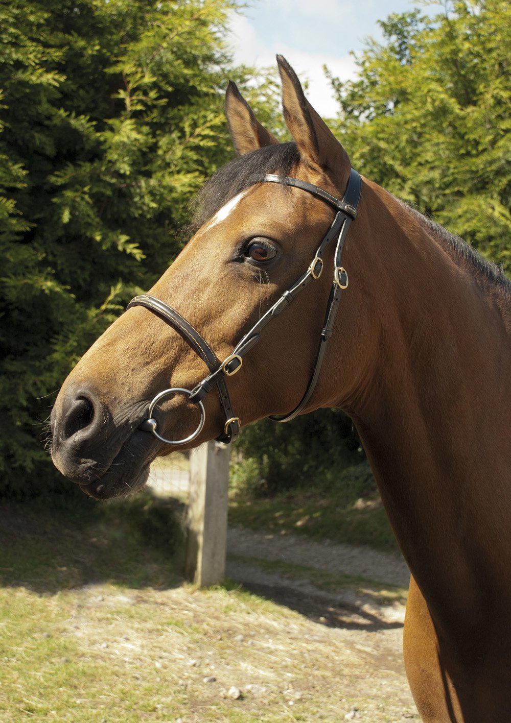 124 Heritage English Leather In-Hand Bridle