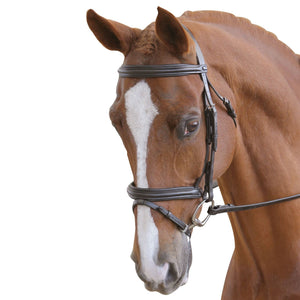 Collegiate Flash Bridle