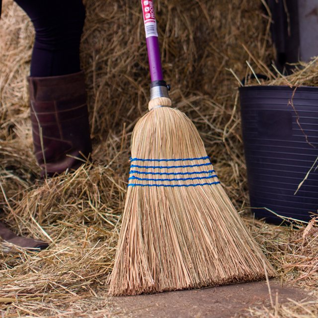 Gorilla Broom Head with Coloured Handle