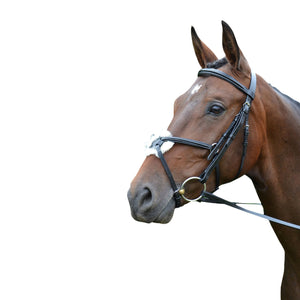 HY - Mexican Grackle noseband