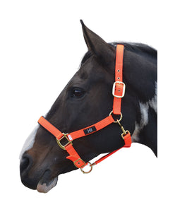 Hy Grand Prix Head Collar