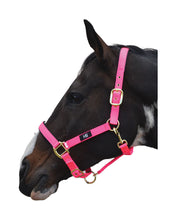 Load image into Gallery viewer, Hy Grand Prix Head Collar
