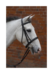 Hy Caveson Bridle with Rubber Reins