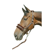 Load image into Gallery viewer, Hy Faux Fur Padded Head Collar with Lead Rope
