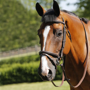 JHL FLASH BRIDLE