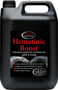 Omega Hematinic Boost