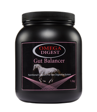 Load image into Gallery viewer, Omega Digest - Gut Balancer
