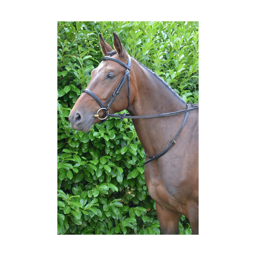 Hy Equestrian Leather Neck Strap