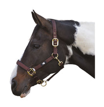 Load image into Gallery viewer, Hy Grand Prix Head Collar
