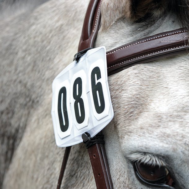 Shires Competition Number Kit Number