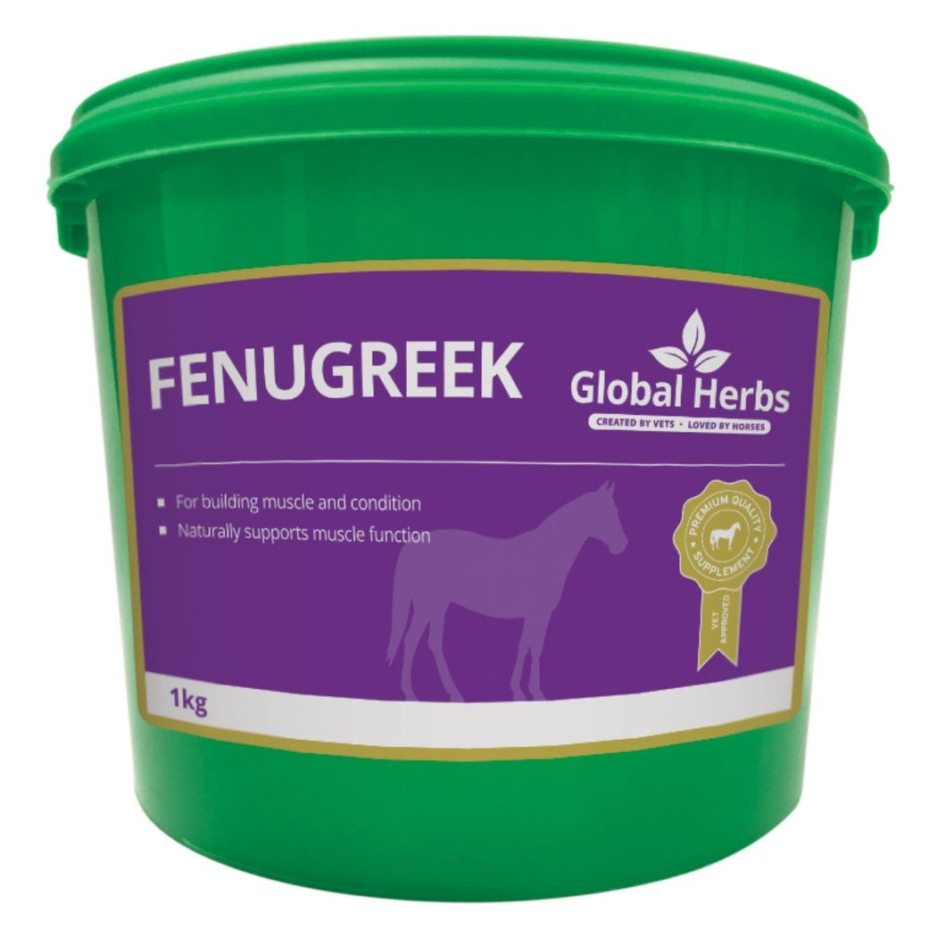 Global Herbs Fenugreek Seeds 1kg (Equine)