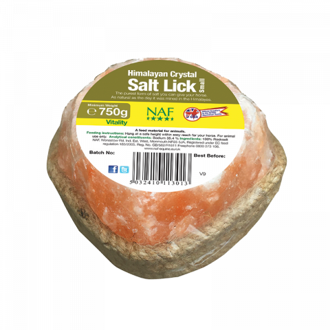 Naf himalayan Salt lick