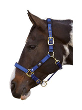Load image into Gallery viewer, Hy Deluxe Padded Head collar

