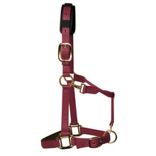 Load image into Gallery viewer, KM Elite Padded Headcollar
