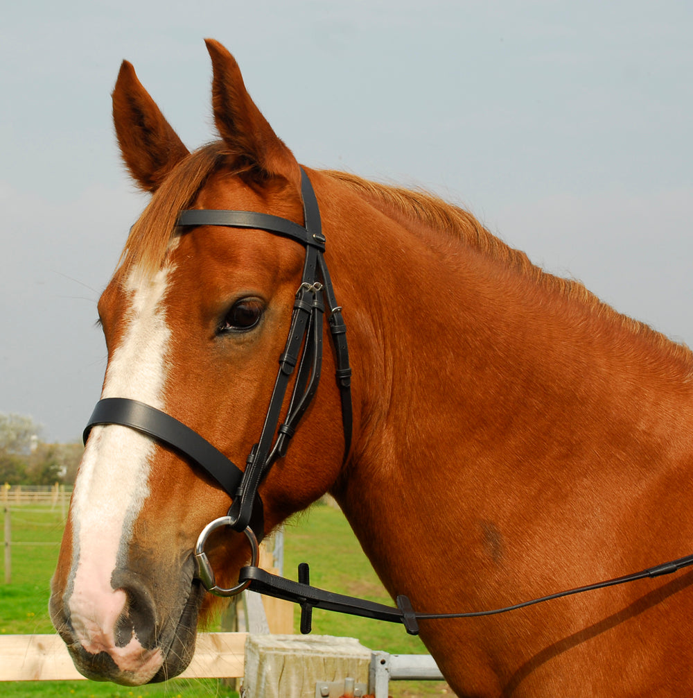 Heritage English Leather Hunter Bridle With Wide Cavesson Noseband